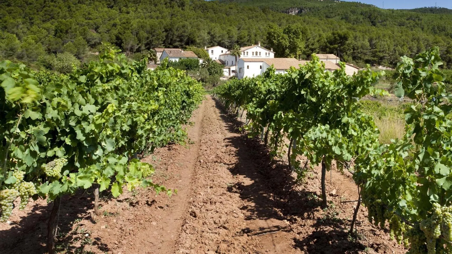 Finca Can Romeu Alojamiento Rural Entre Vinedos Font-Rubi 0*,  Španělsko